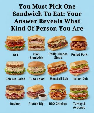 Choose Just One Sandwich — Your Pick Will Expose What Kind of Person You Really Are