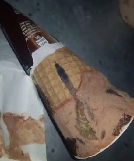 When my daughter opened a simple package of chocolate ice cream, she immediately noticed something unusual hidden inside. What started as a casual treat quickly turned into a surprising discovery that none of us expected, leaving our whole family curious, confused, and genuinely shocked.